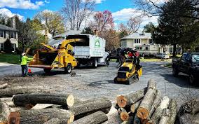 Best Commercial Tree Removal  in Sweetwater, TN